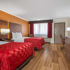 Executive Double Room Courtyard View
