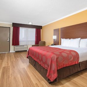 King Room Mobility or Hearing Accessible Bath Tub Non-Smoking